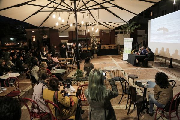 Hapet edicioni i 5të i Festivalit të Filmit Mjedisor të Shqipërisë