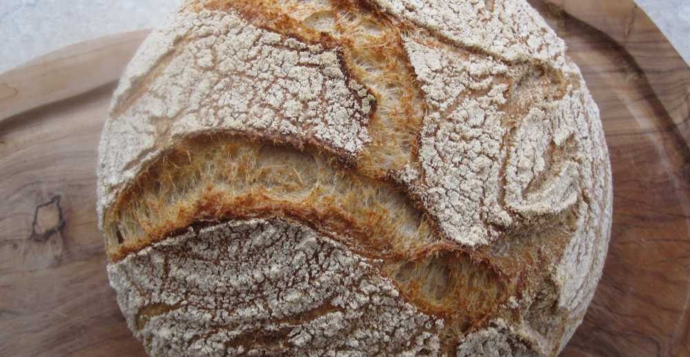 Shkencëtari bën bukë me maja 4.500 vjeçare, habitet nga shija