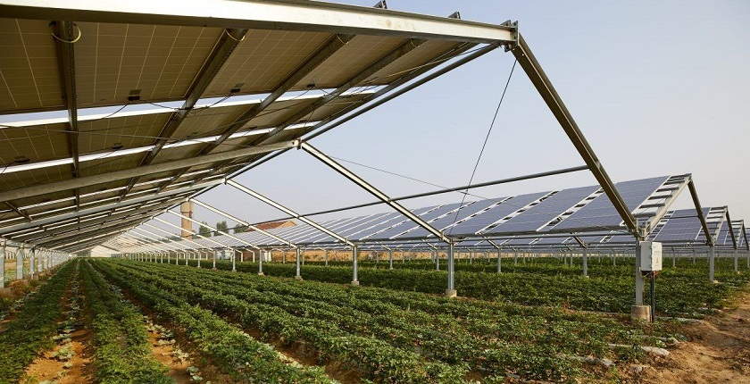 Investim inovativ në Serbi: Sera për prodhime bujqësore nga toka dhe prodhim energjie elektrike nga çatia.