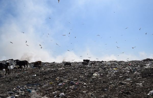 “Bomba me sahat” e mbeturinave në Porto-Romano (Video)
