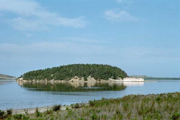 Bie niveli i ujit në Lagunën e Nartës si asnjëherë në 30 vitet e fundit
