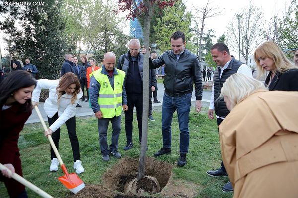 Tirana s’ka vend për të mbjellë pemë, KLSH rrëzon Pyllin Orbital të Veliajt