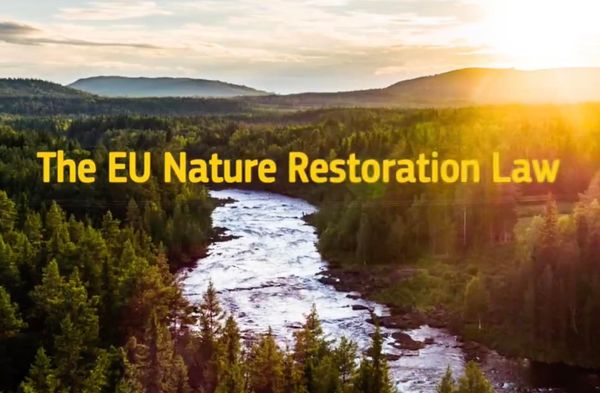 Parlamenti Evropian miraton ligjin “për Restaurimin e Natyrës”